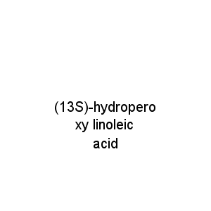 (13S)-hydroperoxy linoleic acid
